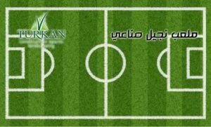 ملعب نجيل صناعي