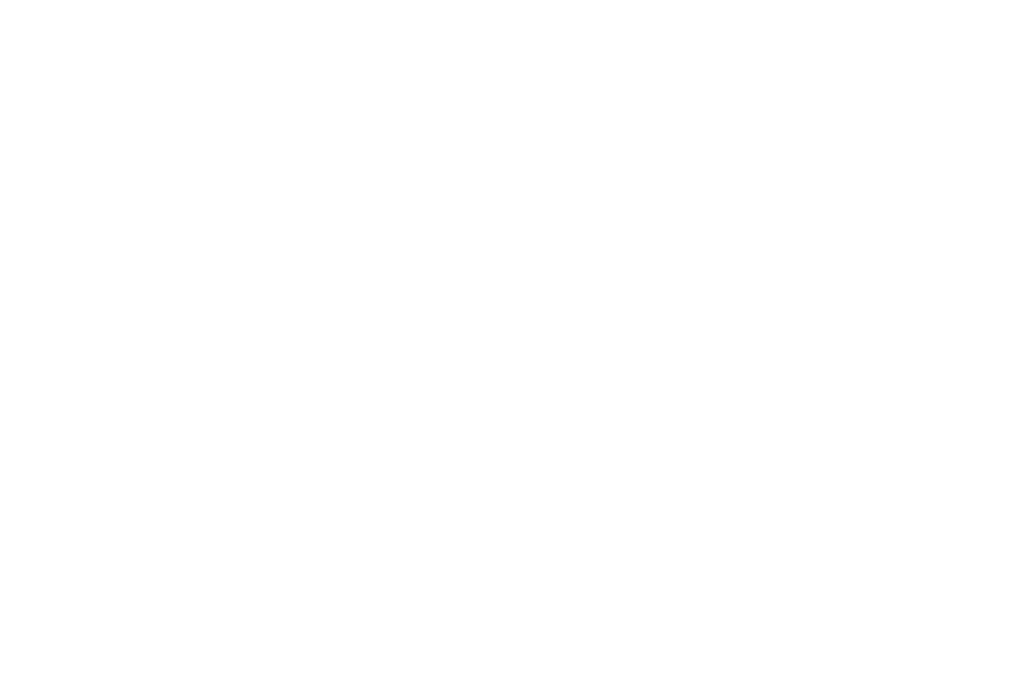 Turkan Company Logo – Construction and Exports Turkan company logo featuring stylized wheat design and the text 'Turkan Construction Exports