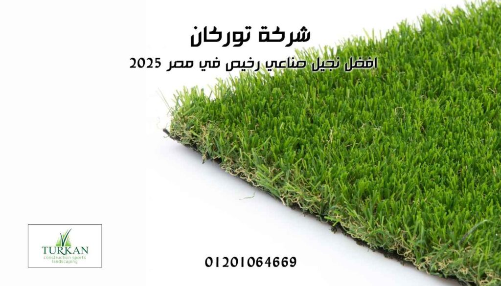 نجيل صناعي رخيص في مصر